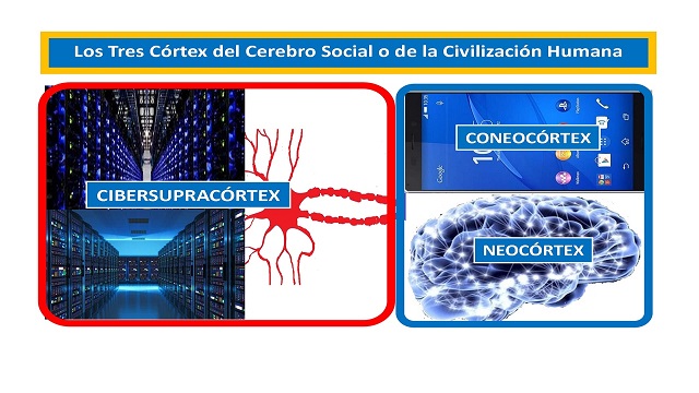 Neocórtex-Coneocórtex-Cibersupracórtex (2).jpg